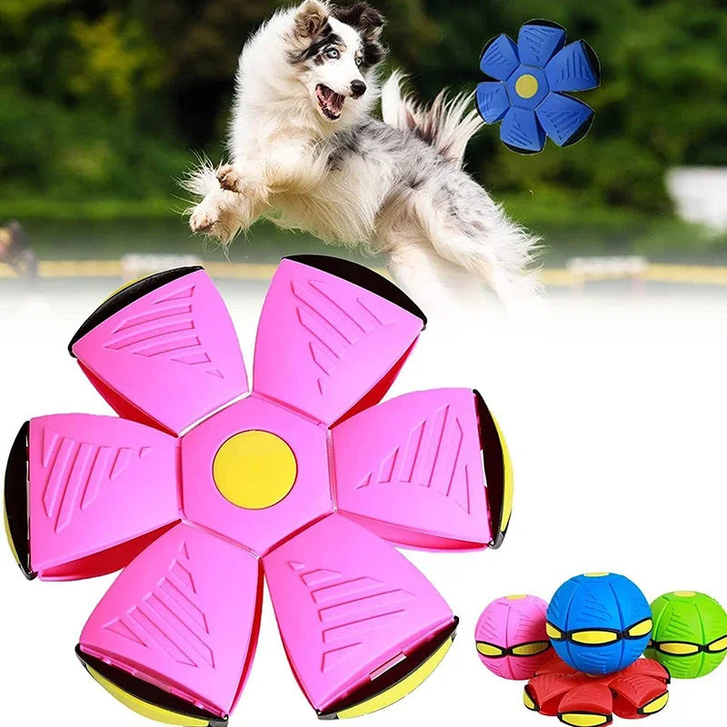 Children &Dog Toys Flying UFO Saucer Ball Training Games Interactive Outdoor Sports